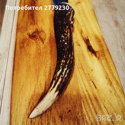 Габровски сойки от колекция Нови!, снимка 14 - Колекции - 50437855