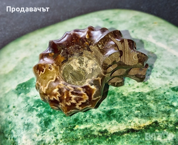 Амонит от Мадагаскар, снимка 4 - Декорация за дома - 53767979