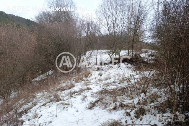 Продава, Парцел/Терен в Дунево, снимка 3 - Парцели - 53971543