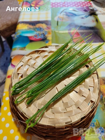 Тревички, цветчета, калинки, пеперуди за декорация 