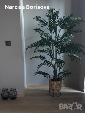 Balcik Noshtuvki, снимка 10 - Апартаменти - 52505688