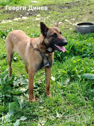 Мъжко на година !!! 