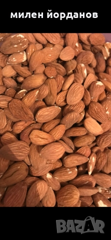 Бадемова  ядка за преработка на масло