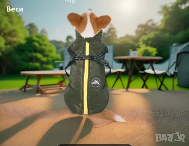 Зимно кучешко яке