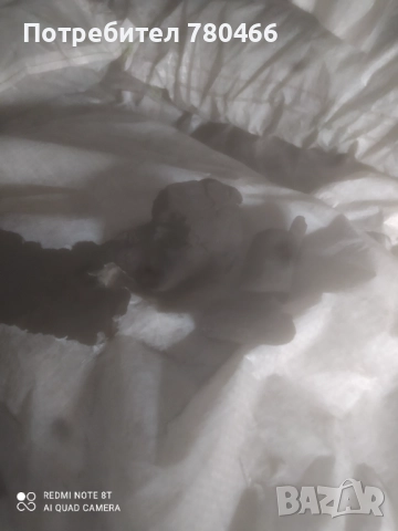 Дървени Въглища, снимка 2 - Барбекюта - 51752262