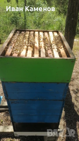 Лавандулов Пчелен мед  2025г. , снимка 1