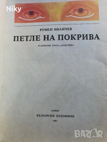 Петле на покрива - Румен Иванчев , снимка 2 - Детски книжки - 54218451