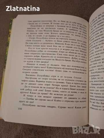 И отново Маншон, Полуобувка и мъхеста брада, снимка 4 - Детски книжки - 53260650