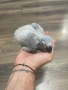 Ръчно хранени папагали Жако, снимка 3