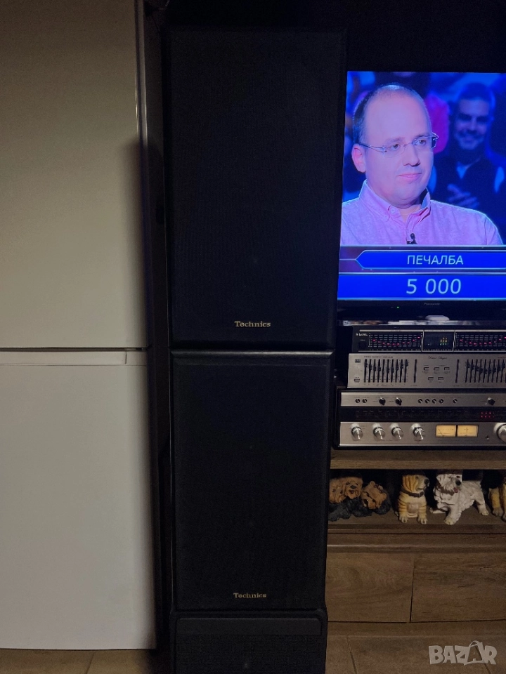 Technics SB-CS7, снимка 1