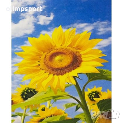 Диамантен пъзел мозайка с размери 30х20 см. 27016810 , снимка 1