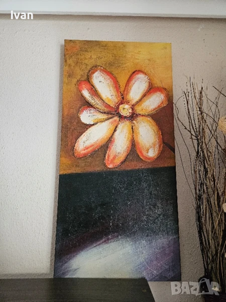 Картини рисувани на пано , снимка 1