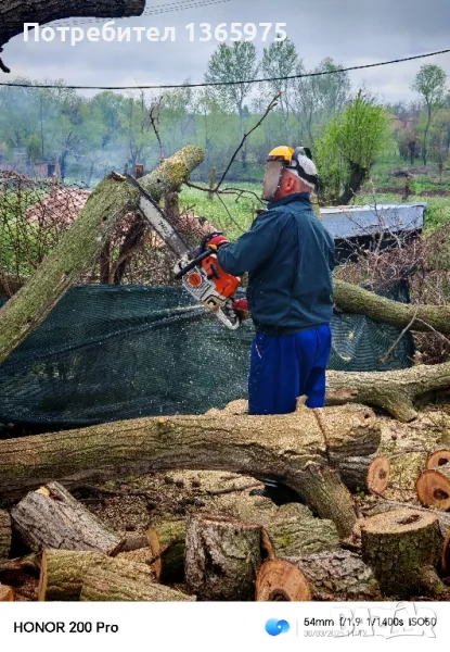 РЯЗАНЕ НА ВСЯКАКВИ ВИДОВЕ ДЪРВА , снимка 1
