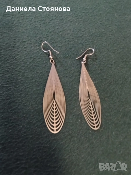 Леки и фитнес стоманени обеци, снимка 1