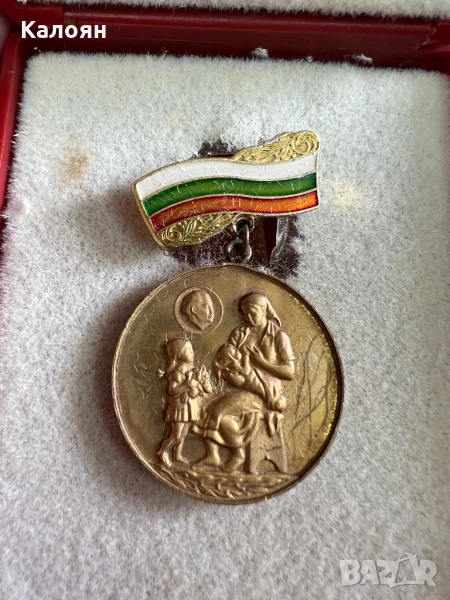 Значка-медал за майчинство с кутия , снимка 1