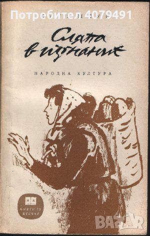 Сляпа в изгнание - Катя Шпур, снимка 1 - Художествена литература - 45806662