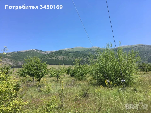 ПРОДАВА ЧЕРЕШОВИ ГРАДИНИ С НАСАЖДЕНИЯ, снимка 3 - Оранжерии - 51149960