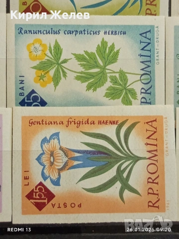 Стари пощенски марки без печат ЦВЕТЯ РУМЪНИЯ за КОЛЕКЦИЯ ДЕКОРАЦИЯ 52020, снимка 9 - Филателия - 53227487