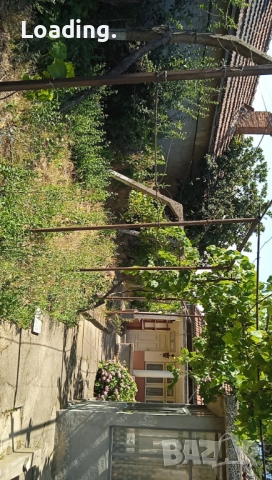 Малка Къща в град Тутракан: 5 стаи, двор 90 декара , снимка 12 - Къщи - 52333509