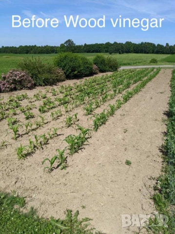 ПРОИЗВЕЖДАМ ОРГАНИЧЕН ДЪРВЕН ОЦЕТ (Organic Wood Vinegar) - ТОР ЗА НАТОРЯВАНЕ НА РАСТЕНИЯТА, снимка 3 - Тор и почвени смеси - 51989118