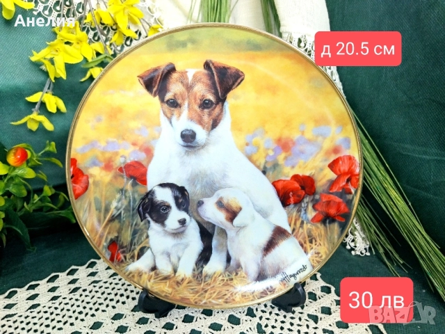 Чинии за стена Джак Ръсел -колекция, снимка 3 - Декорация за дома - 52345720