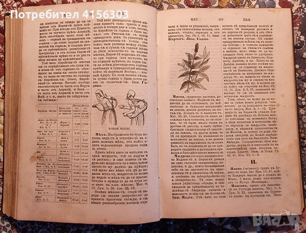 Речник на светото писание. Цариград. 1884., снимка 5 - Други - 53636046