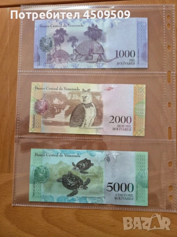 Лот банкноти Венецуела от 2-50000, UNC, снимка 5 - Нумизматика и бонистика - 53574548