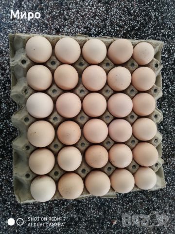 Яйца от кокошки, снимка 1 - Кокошки и пуйки - 46466675