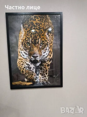 Картина Ягуар - пъзел, снимка 3 - Картини - 49337246