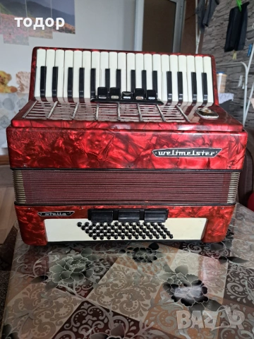 Велтмайстер стела 60 баса 