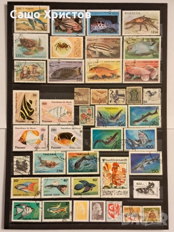 Пощенски марки тема ”Животни”., снимка 7 - Филателия - 52699226