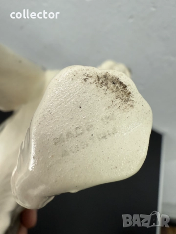 Порцеланова фигура на Шнауцер. №7483, снимка 9 - Колекции - 52048852