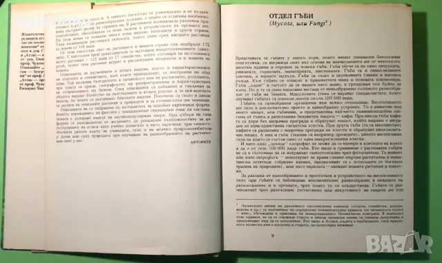 Стара Книга Атлас по Ботаника/Сл.Петров,Е.Паламарев, снимка 3 - Специализирана литература - 49279602