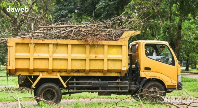 Почистване на дворове, косене на трева, рязане, изхръвляне на боклук, клони и др. Пловдив Хасково, снимка 6 - Други почистващи услуги - 52461123