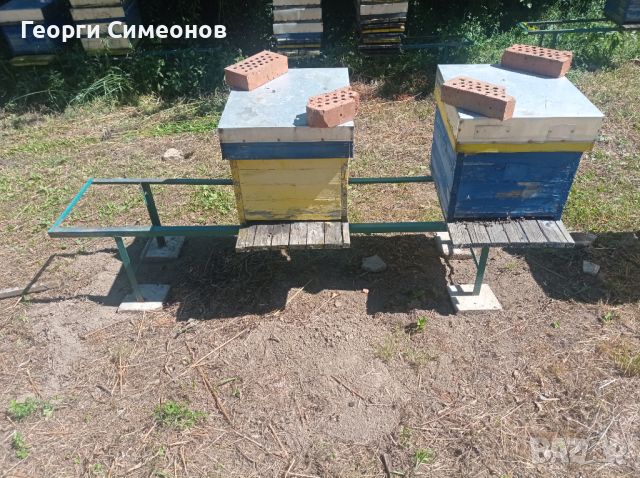 Пчелни кошери , снимка 9 - За пчели - 46296672