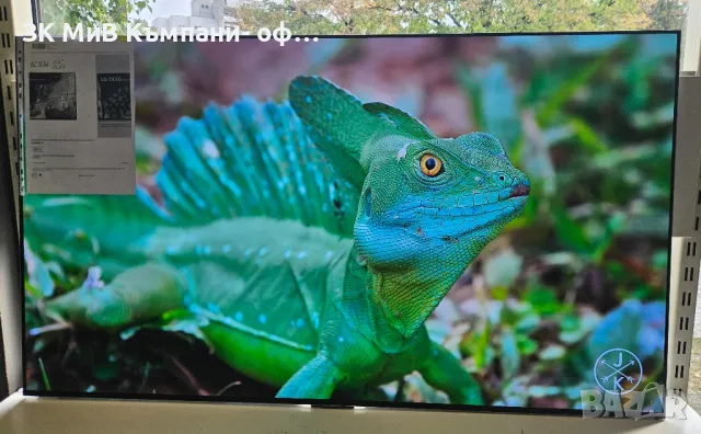 Телевизор LG OLED evo OLED55G23LA 4K Ultra HD, снимка 1 - Телевизори - 47149166