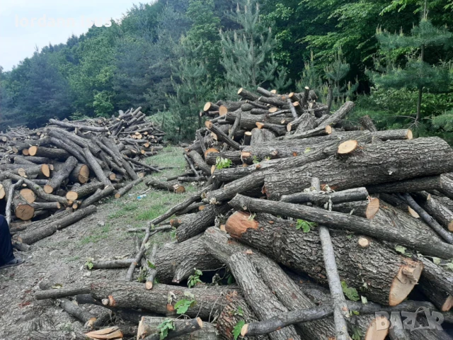 предлагам дърва за огрев метровки дъб доставям до адрес , снимка 2 - Дърва за огрев - 50738937