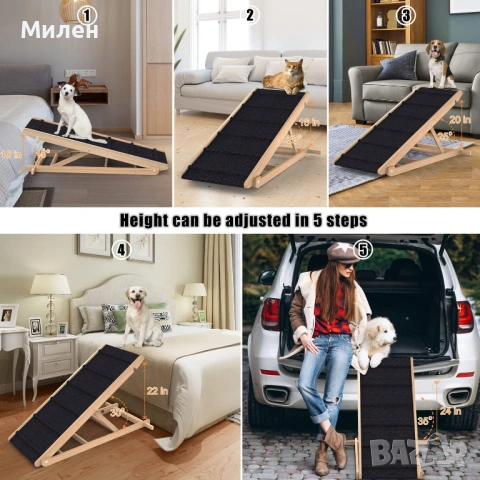 Рампа за кучета