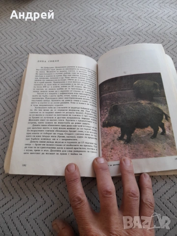 Книга Албум за растения и животни, снимка 5 - Специализирана литература - 53236498