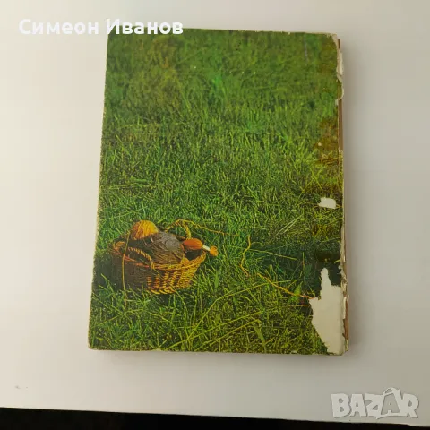 Стара книга Плетено облекло за децата 1985г  В0140, снимка 6 - Специализирана литература - 48694342