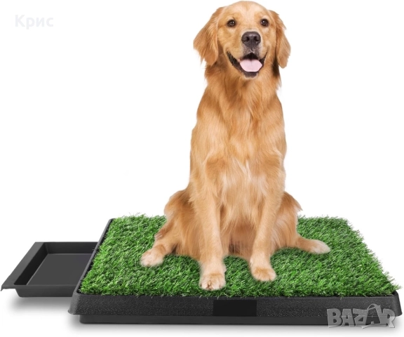 Кучешка тоалетна с изкуствена трева.