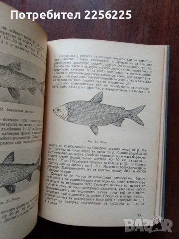 Ръководство по рибовъдство, снимка 9 - Специализирана литература - 50427706