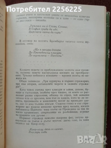 Миналото, снимка 5 - Художествена литература - 50933086