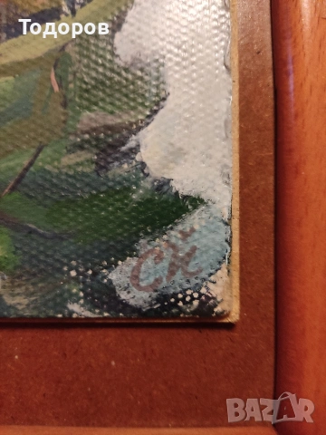 БГ морски картини на фазер БГ автор , снимка 7 - Картини - 53739304