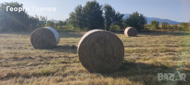 Продавам Рулонни Бали Сено, село Ковачевци (Самоковско), снимка 3 - За селскостопански - 46504556