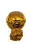 Златна Футболна Топка Ballon D'or, снимка 2