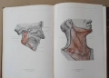 "Анатомичен атлас на човешкото тяло" в три тома, снимка 3