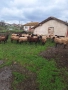 Продавам 30 бр плевенски черноглави овце , снимка 2