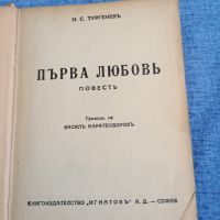 Тургенев - Първа любов , снимка 1 - Художествена литература - 45149139