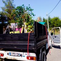 Хамалски услуги за Пловдив, преместване на дом, кърти чисти и извозва, снимка 3 - Хамалски услуги - 45773176